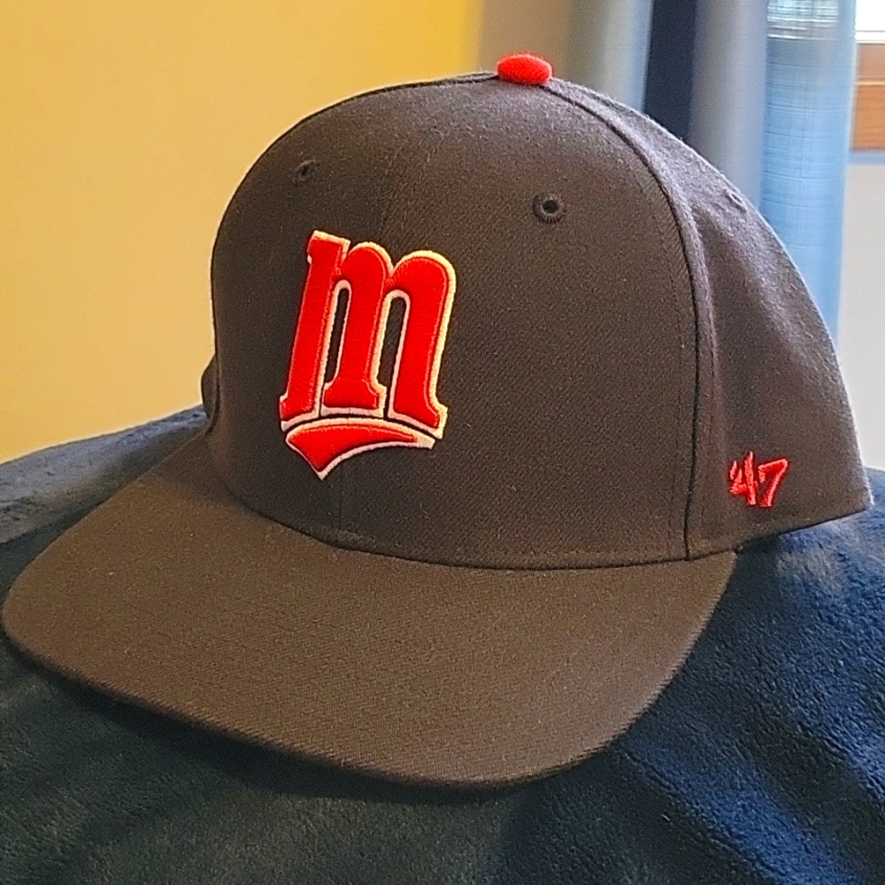 Vintage Look Minnesota Twins Snap- back Hat- Excellent Condition!
